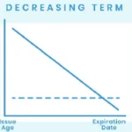 What Is Decreasing Term Life Insurance ?