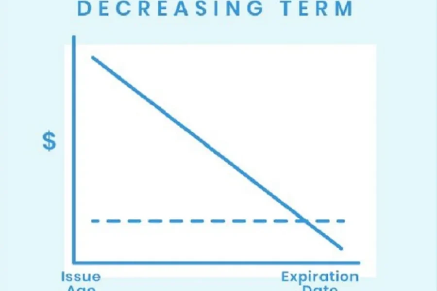 What Is Decreasing Term Life Insurance ?