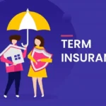 What Is Term Life Insurance ?