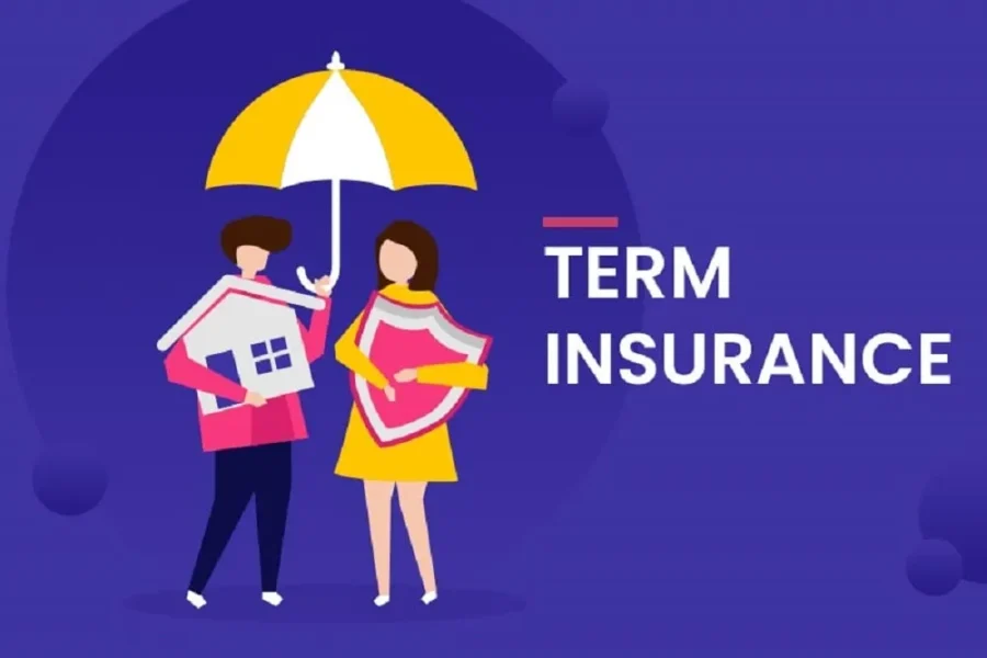 What Is Term Life Insurance ?