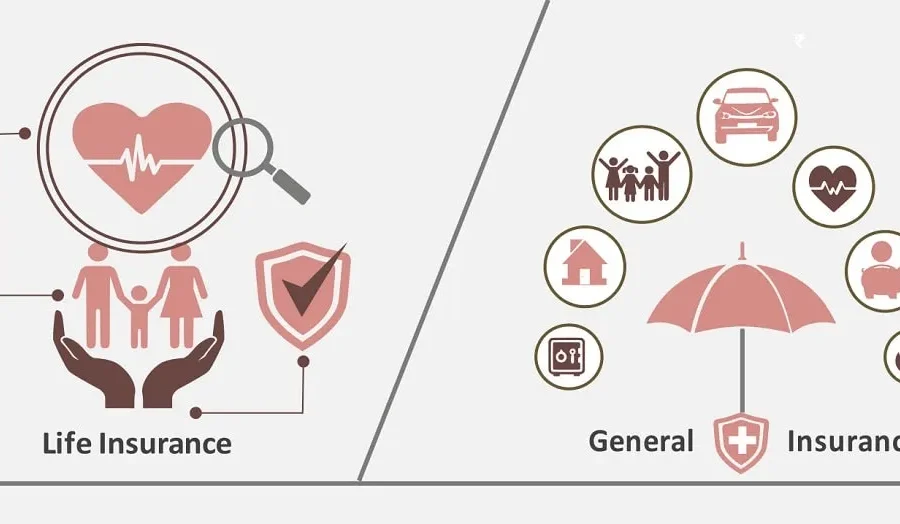 Compare And Contrast Life & Property Insurance